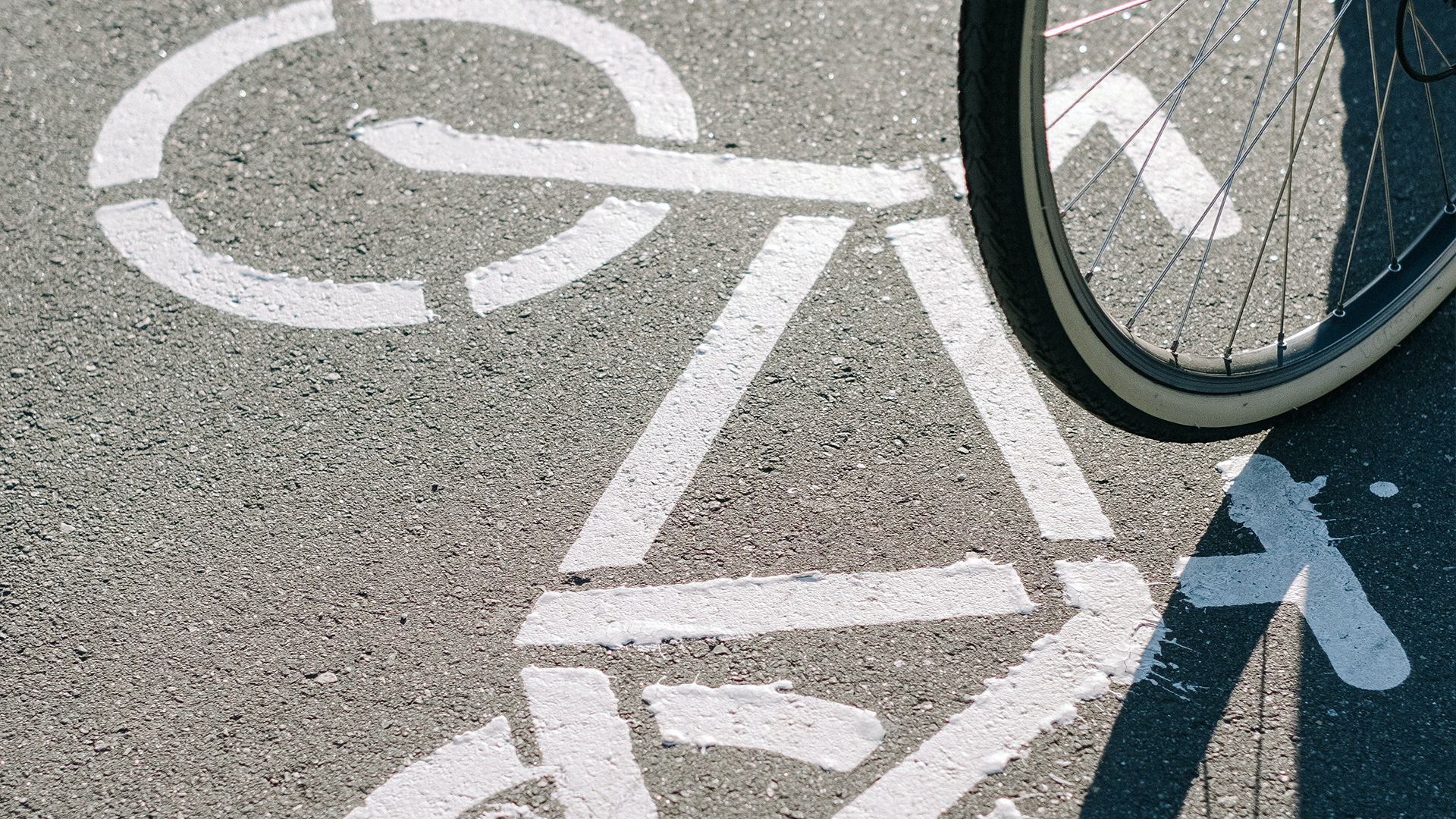 Powstanie nowa ścieżka pieszo-rowerowa wzdłuż Wisłoka – udogodnienie dla mieszkańców i turystów